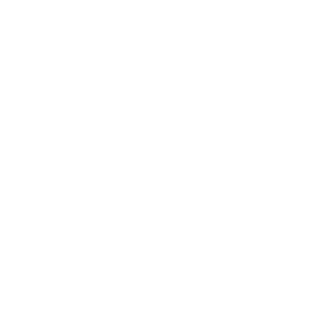 Apple Pay logo.
