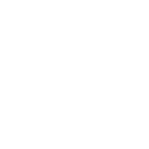 Revolut logo.