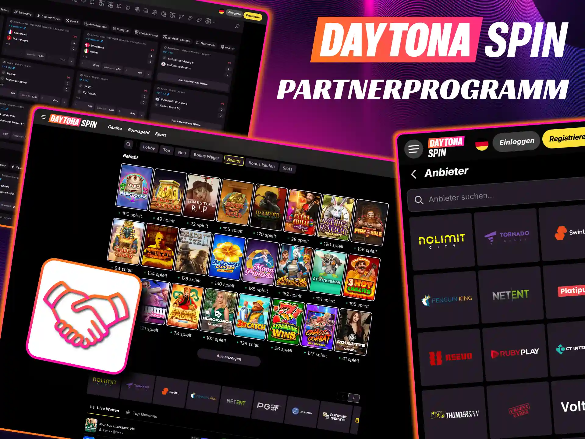 Daytona Spin bietet ein Partnerprogramm mit attraktiven Provisionen für Affiliates.